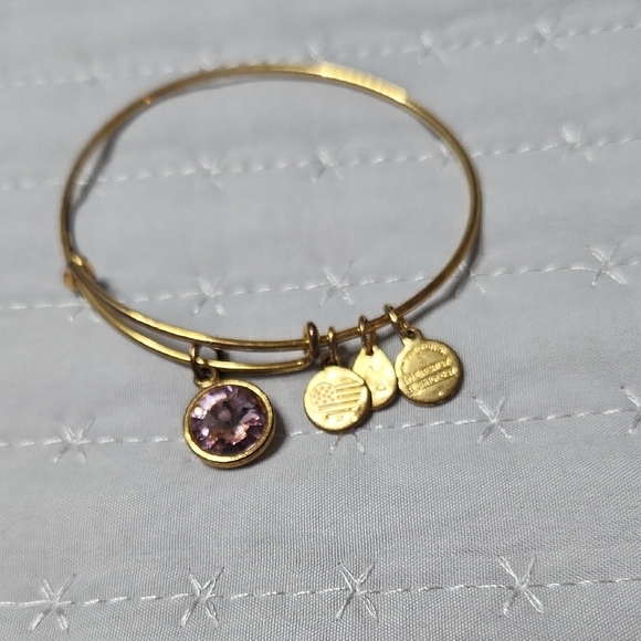 Alex and Ani Gold Bangle with Purple Charm EUC - Picture 1 of 5